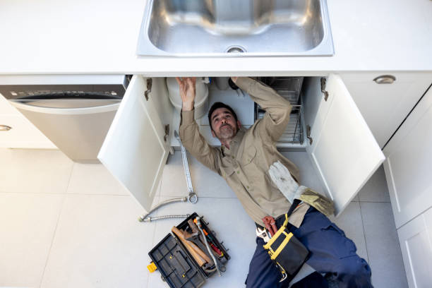 Best Toilet Repair Services  in Frankenmuth, MI
